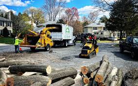 Best Lawn Pest Prevention  in Clinton, MD